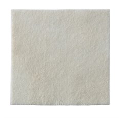 BIATAIN ALGTO AG HIDROFIBRA(PRATA)15X15E