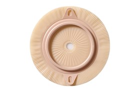 A.LONG WEAR BASE PLANA 60(10-55)-2P