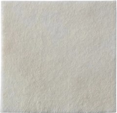 BIATAIN ALGTO AG HIDROFIBRA(PRATA)10X10E